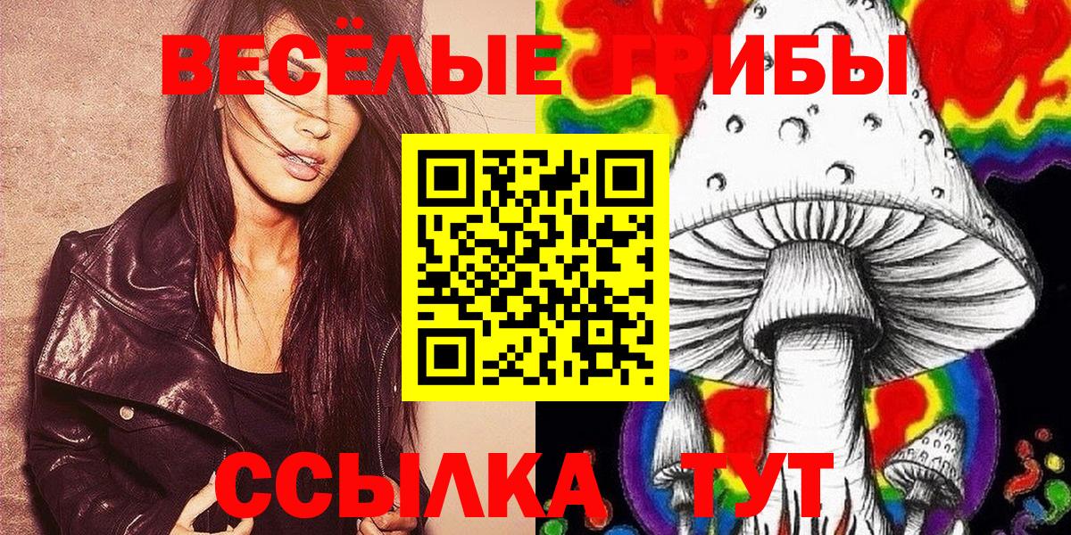 Ирбит  Псилоцибиновые грибы Magic Shrooms  наркота  Вход с VPN 