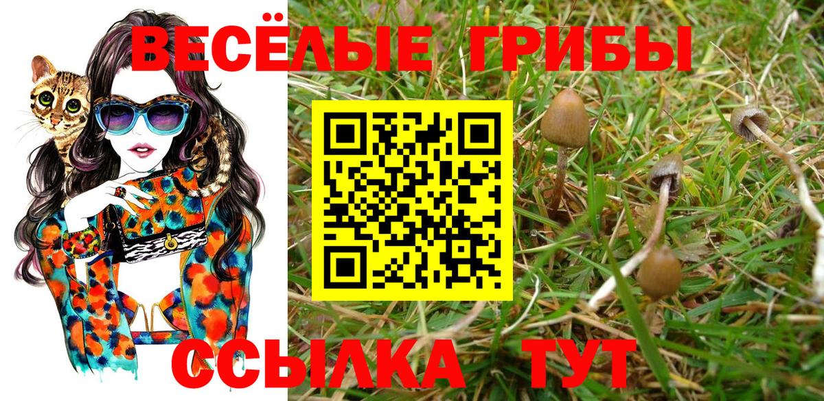 Псилоцибиновые грибы Magic Shrooms Ирбит
